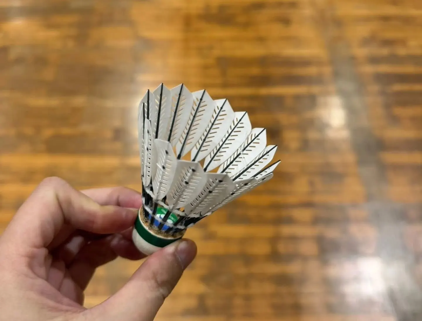 YONEX CROSSWIND70